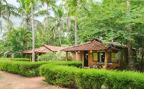 Nature'S Nest Eco Resort Goa, Near Dudhsagar Waterfalls